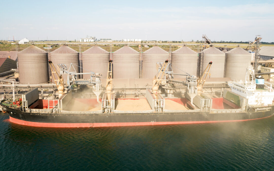 The Advantages of Bulk and Break Bulk Cargo Shipping